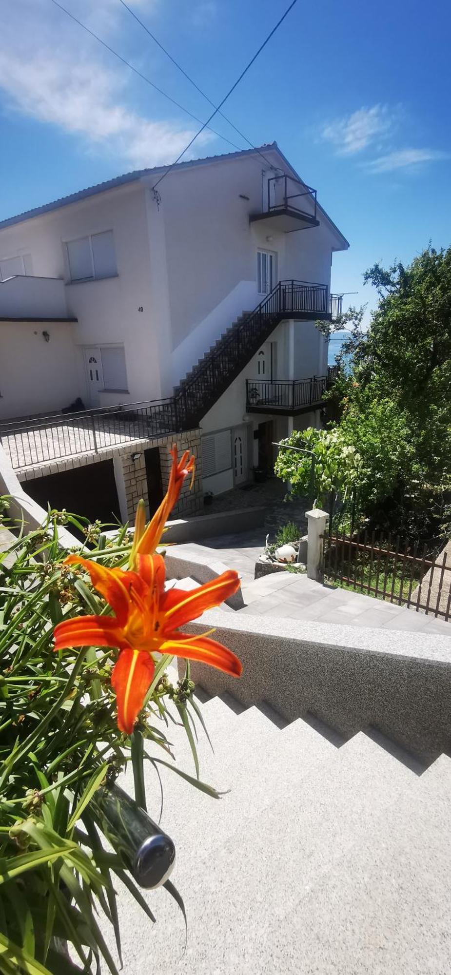 Apartment Eden 茨里克韦尼察 外观 照片